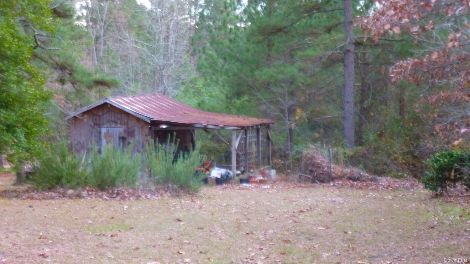[NC%2520dells_044%255B8%255D.jpg]