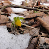 dsc06543.jpg