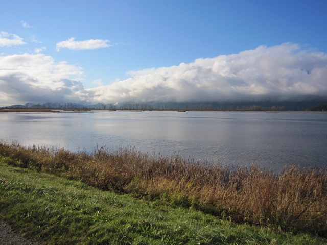 [IMG_6343%255B3%255D.jpg]