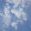 IMG_1349 IMG_1349