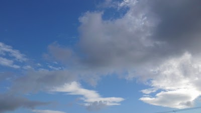 2014-07-10 07.20.16.jpg