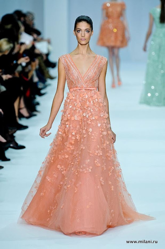 elie-saab-haute-couture-sprg-2012-pfw31.jpg