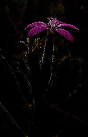 [3304-ps-crop-io4.jpg]