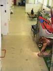 Nog lege gangen - opbouw