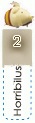 [2%255B3%255D.jpg]