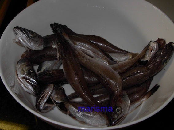 [pescadillas%2520de%2520enroscar1%255B3%255D.jpg]