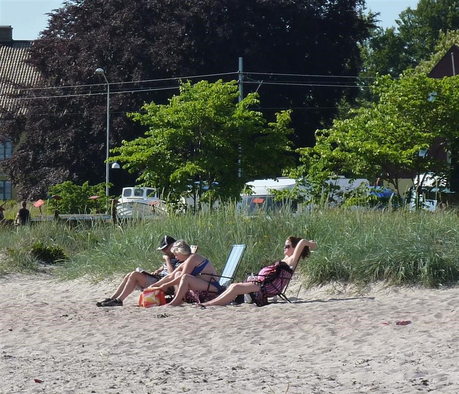 [P1030255-Medium4.jpg]