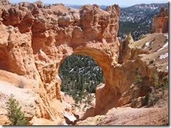Called a natural bridge, but really an arch