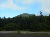 R0011478.JPG Photo