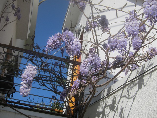 [IMG_17863.jpg]