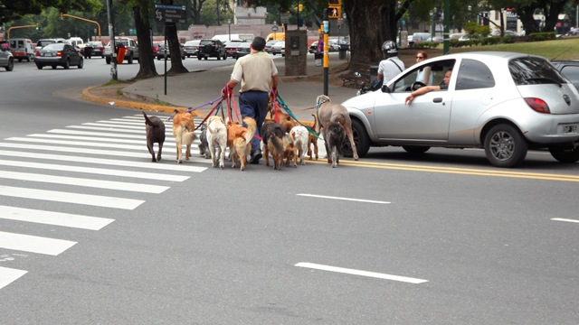 [SAM_0814%255B3%255D.jpg]