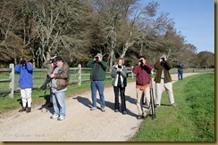 Birding Group