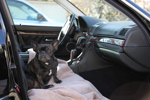 I'm already in the car, G.K.  I call shotgun!