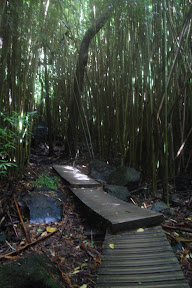 DSC_1024.jpg