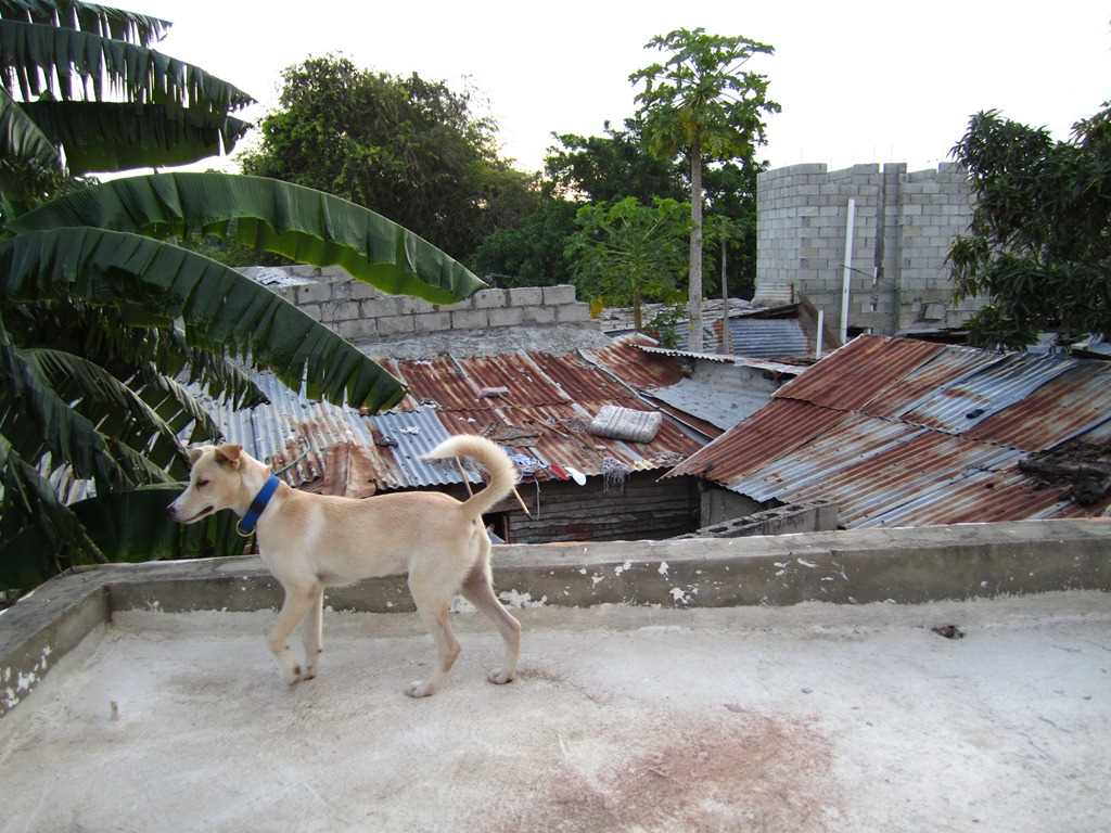 [IMG_0901.jpg]