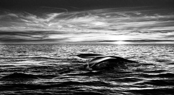 sebastiao_salgado_8