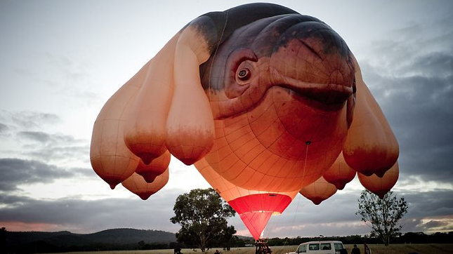 canberra-skywhale canberra-skywhale