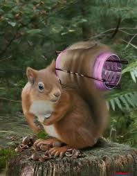 [curler%255B3%255D.jpg]