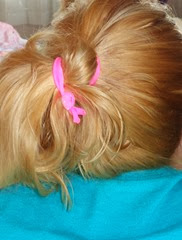 daughter wearing Maddyloo hair ties_3