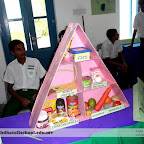 Science Fair 2011