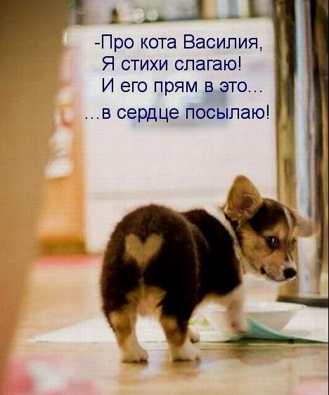 [3e76981ef9a0b9bcf3b35edc5d4%5B9%5D.jpg]