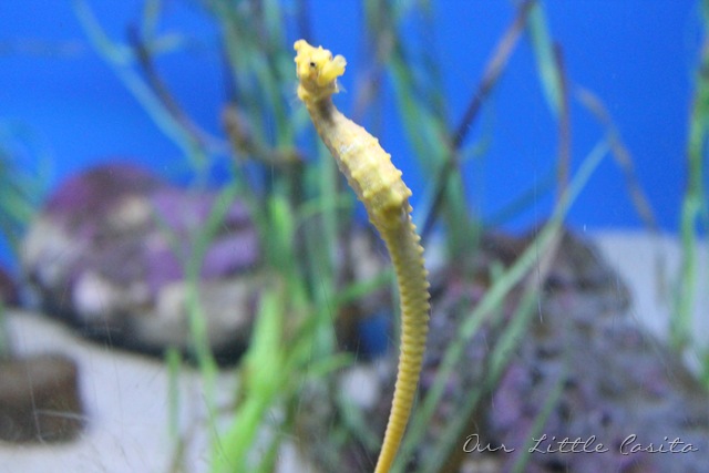 [SanDiego20122076.jpg]