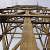 dsc05290.jpg