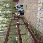 P1090684.JPG