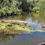 DSCN4178.JPG