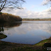 dsc06895.jpg