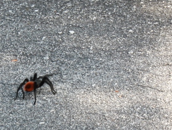 [mexico%25202011%2520305_resize%255B5%255D.jpg]