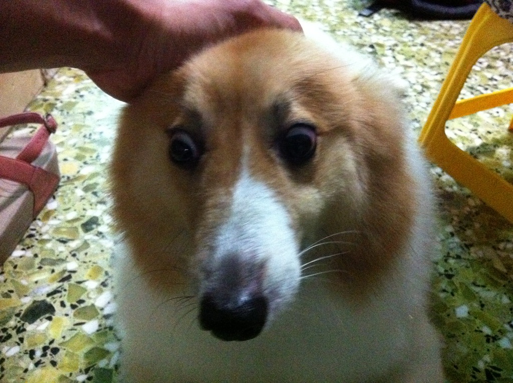 [IMG_6679%255B3%255D.jpg]