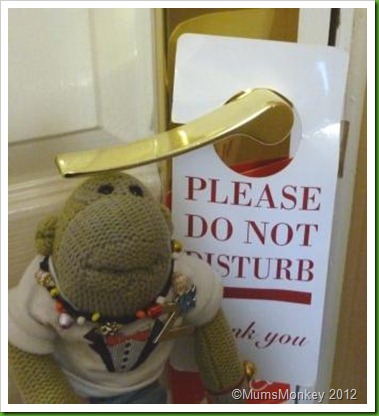 Do not disturb door sign Mill Hotel Chester