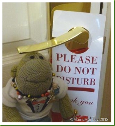 Do not disturb door sign Mill Hotel Chester Do not disturb door sign Mill Hotel Chester