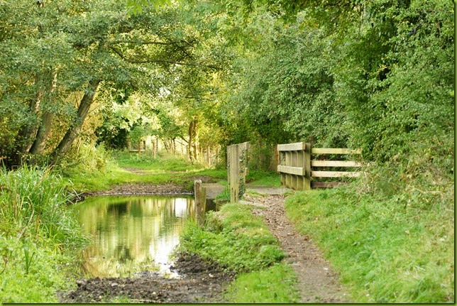 West Acre Norfolk in Autumn