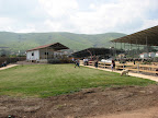 p1241433447(1).jpg