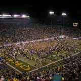 ducks 112.jpg
