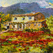 Amapolas en Establiments
