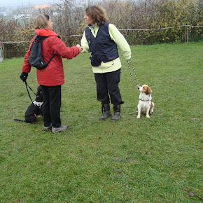 HundehalterBrevet2012 HundehalterBrevet2012