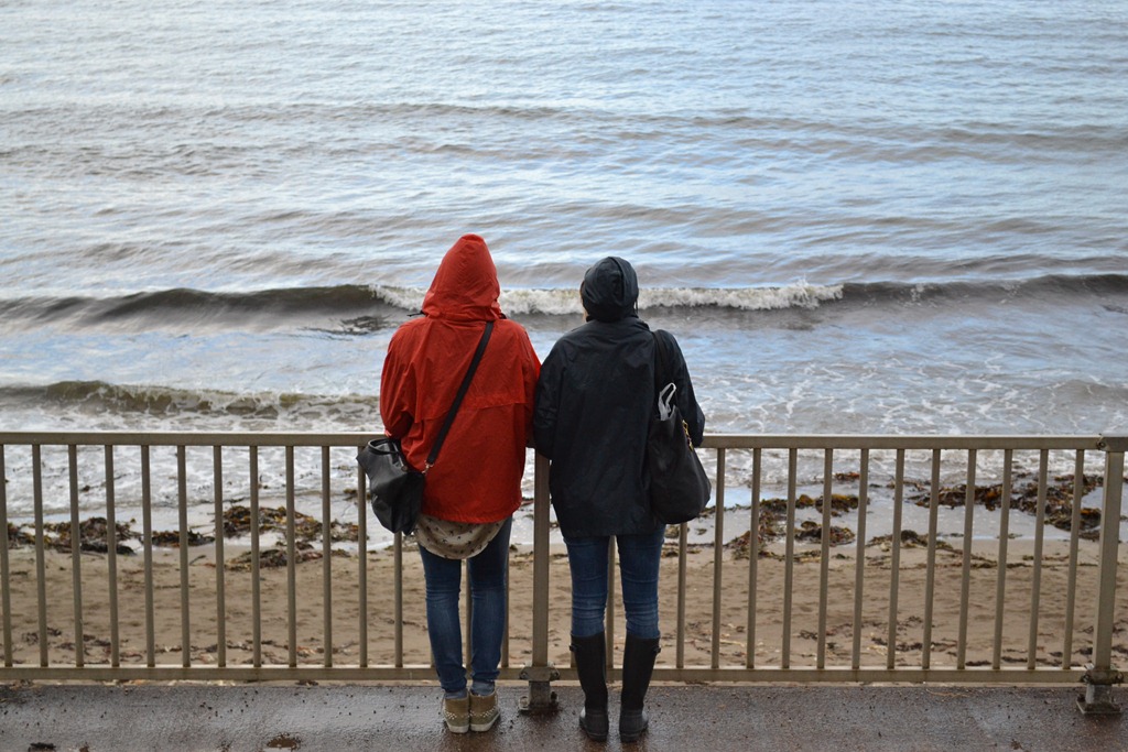 [DSC_06205.jpg]
