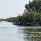 IMG_7958.JPG