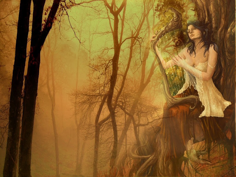Song Of Trees, Mystery