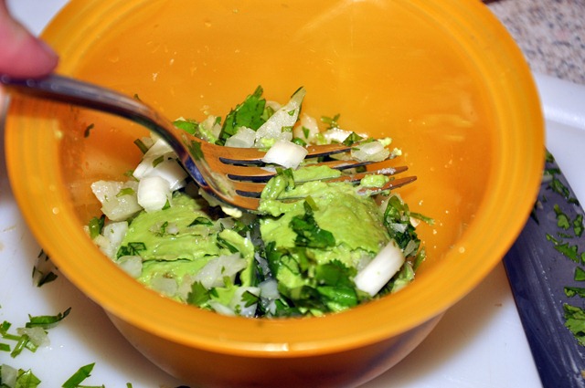 [making-guacamole-119.jpg]