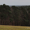 dsc05364.jpg