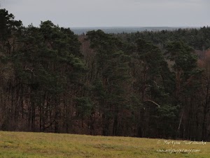 dsc05364.jpg