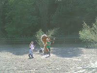 PICT0379.JPG