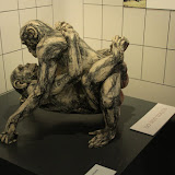 IMG_2459.JPG