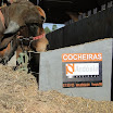 superleite2011_dia1407.JPG