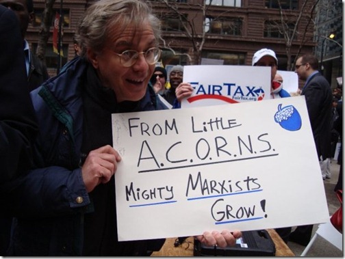 Acorn marxist grow Acorn marxist grow