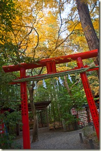DSC_0424_1 DSC_0424_1